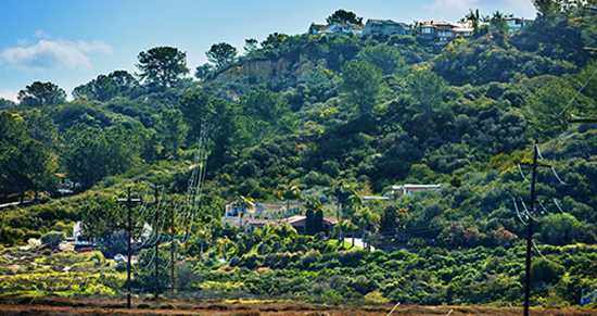 Del Mar Project 